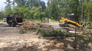 Land clearing project Montgomery TX