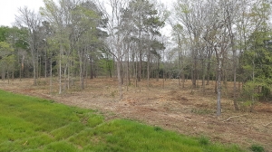 Mini excavator residential lot clearing TX