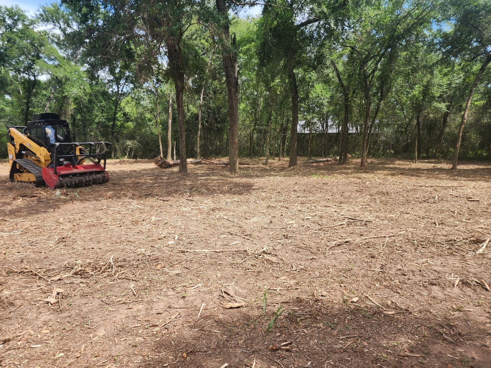 Cleared land after forestry mulching Montgomery TX